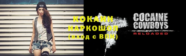 apvp Алексин