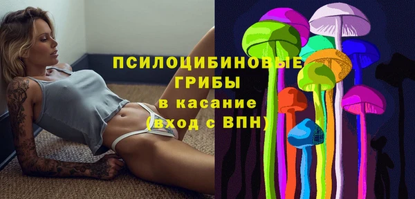 apvp Алексин