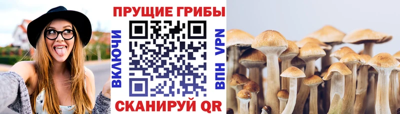 Псилоцибиновые грибы Magic Shrooms  Балашиха 