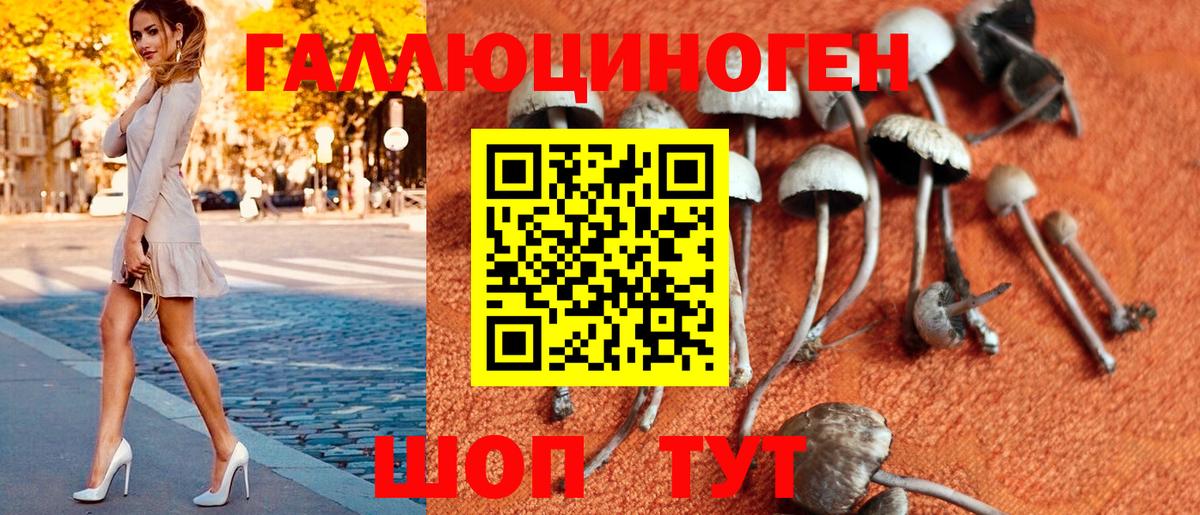 Псилоцибиновые грибы прущие грибы  Псилоцибиновые грибы Magic Shrooms  Балашиха  Вход с VPN 